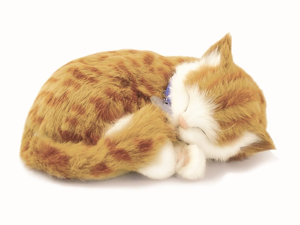 Orange Tabby Bundle - Perfect Petzzz Australia